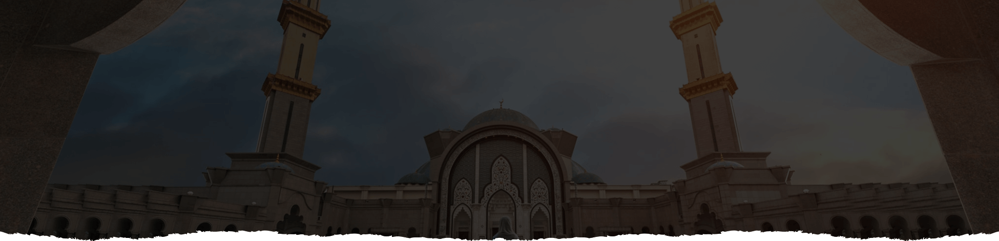 https://www.ciaj.ch/wp-content/uploads/2025/06/services-head-1.png